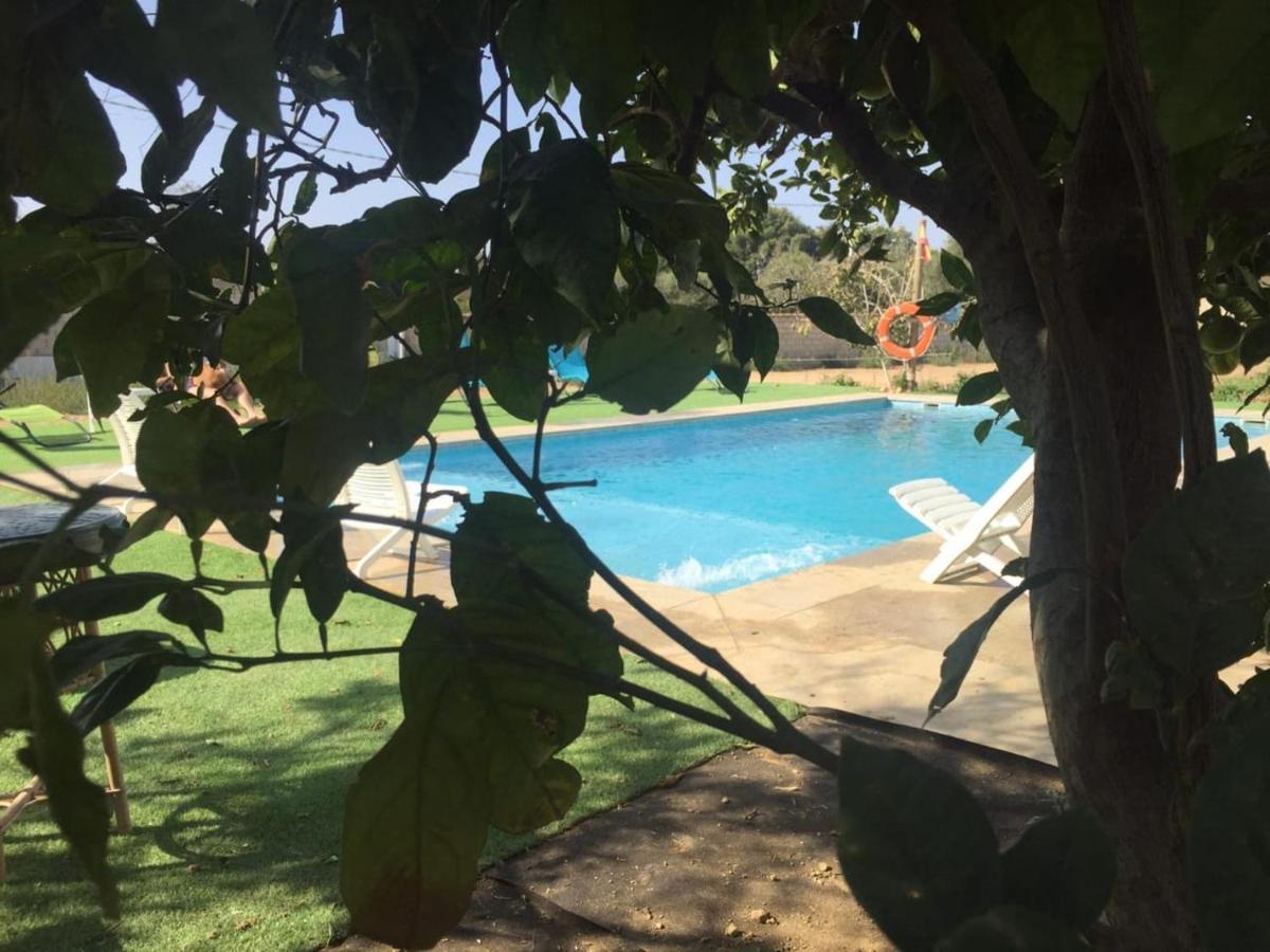 Вілла Chiclana Mobile House - Piscina , Wi-Fi, Relax Чиклана-де-ла-Фронтера Екстер'єр фото